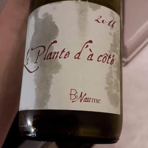 Domaine Henri Naudin-Ferrand - Claire Naudin - La Plante d'à Côté