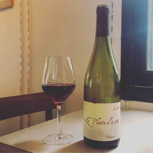 La Plante d'à Côté - Domaine Henri Naudin-Ferrand - claire-naudin