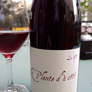 La Plante d'à Côté - Domaine Henri Naudin-Ferrand - claire-naudin