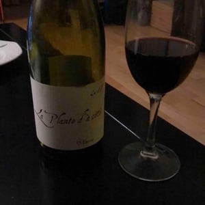 La Plante d'à Côté - Domaine Henri Naudin-Ferrand - claire-naudin