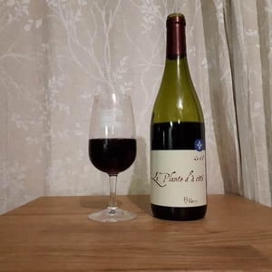La Plante d'à Côté - Domaine Henri Naudin-Ferrand - Claire Naudin 