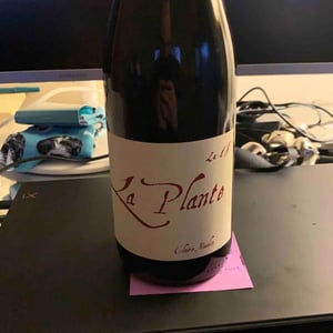 La Plante d'à Côté - Domaine Henri Naudin-Ferrand - Claire Naudin 