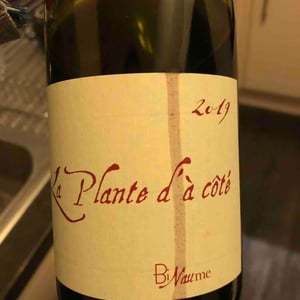 La Plante d'à Côté - Domaine Henri Naudin-Ferrand - Claire Naudin 