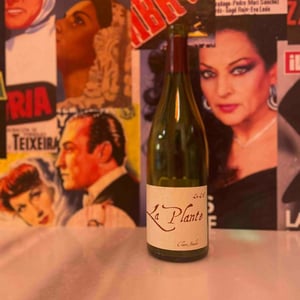La Plante d'à Côté - Domaine Henri Naudin-Ferrand - claire-naudin