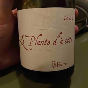 La Plante d'à Côté - Domaine Henri Naudin-Ferrand - claire-naudin