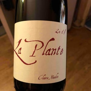 La Plante - Domaine Henri Naudin-Ferrand - claire-naudin