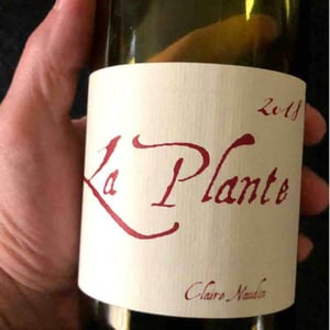 La Plante - Domaine Henri Naudin-Ferrand - Claire Naudin 