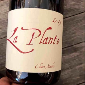 La Plante - Domaine Henri Naudin-Ferrand - claire-naudin