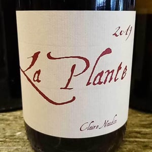 La Plante - Domaine Henri Naudin-Ferrand - claire-naudin