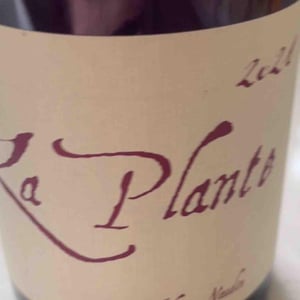 La Plante - Domaine Henri Naudin-Ferrand - Claire Naudin 