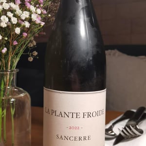 La Plante Froide Sancerre - Domaine Du Nozay - cyril-de-benoist