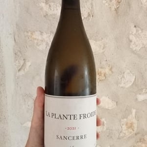 La Plante Froide Sancerre - Domaine Du Nozay - cyril-de-benoist