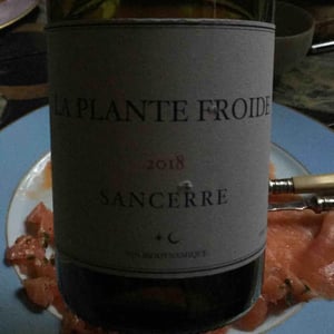 La Plante Froide Sancerre - Domaine Du Nozay - Cyril de Benoist 