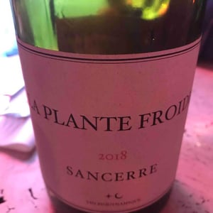 La Plante Froide Sancerre 2018 - Domaine Du Nozay - Cyril de Benoist