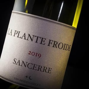 La Plante Froide Sancerre - Domaine Du Nozay - cyril-de-benoist