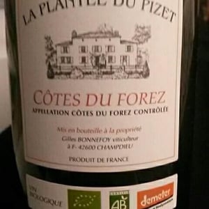 La Plantée du Pizet - Vins de la Madone - gilles-bonnefoy