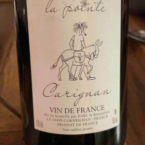 La Pointe - Domaine de la Banjoulière - Sébastien Benoit-Poujad (Retired) 