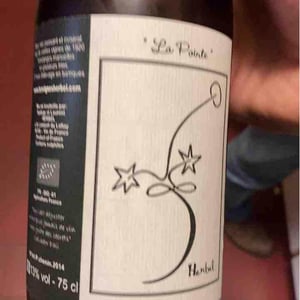 La Pointe Vieilles Vignes - Les Vignes Herbel / Nadège Wines - Nadège Herbel 
