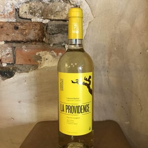 La Providence - Domaine du Verdouble - laurent-battist-closed