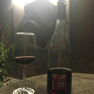La Quinzième Isolée 2016