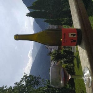 La Recette - Domaine Thuronis - Vigneron Bien Fêteur - Alexandre Coulange & Astrid Lerouxel 