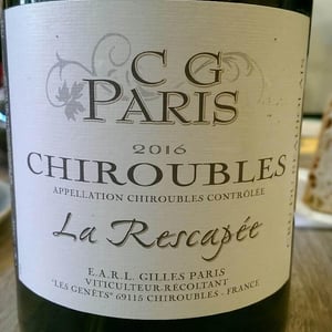 La Rescapée - Christine & Gilles Paris - Christine & Gilles Paris 
