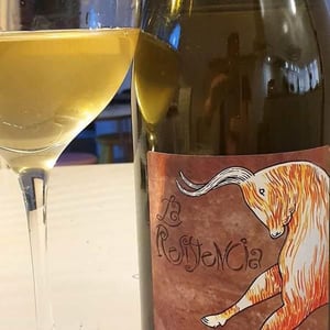 La Resistencia - MicroBioWines - Ismael Gozalo 