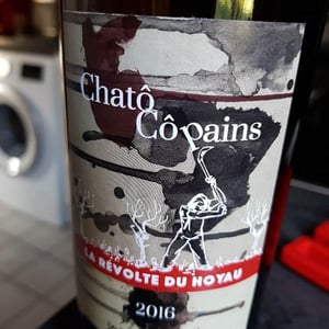 La Révolte du Noyau - Chatô Copains - philippe-s-et-severin-n