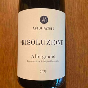 La Risoluzione - Paolo Fasolo - alberto-buratti -2020