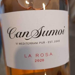 La Rosa - Can Sumoi - pepe-raventos
