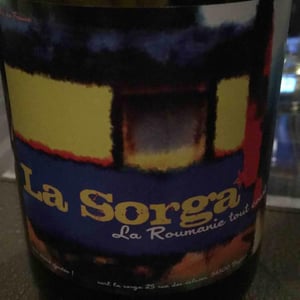 La Roumanie Tout Court - La Sorga - Antony Tortul 