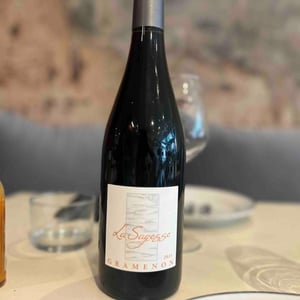 La Sagesse - Domaine Gramenon - michele-aubery-laurent-maxime-francois-laurent