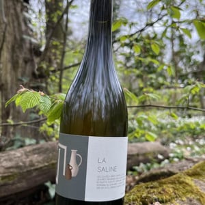 La Saline - Domaine du Chambet - anthony-fonjallaz