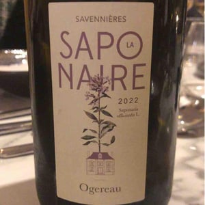 La Saponaire - Domaine Ogereau - vincent-emmanuel-ogereau