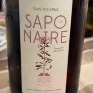 La Saponaire - Domaine Ogereau - Vincent & Emmanuel Ogereau 