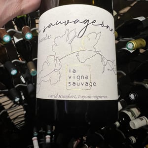 La Sauvageonne - La Vigne Sauvage - david-humbert