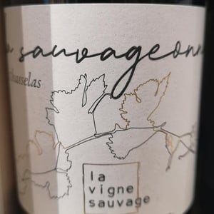 La Sauvageonne - La Vigne Sauvage - david-humbert