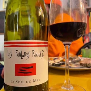 Les Foulards Rouges - Jean-Francois Nicq - La Soif du Mal (rouge)