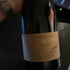 La Source - Champagne Bichery - hannah-raphael-piconnet