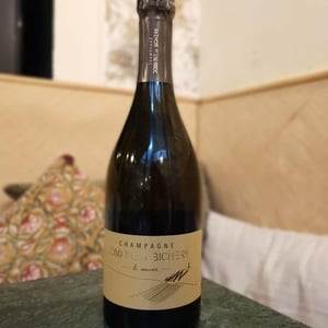 La Source - Champagne Bichery - hannah-raphael-piconnet