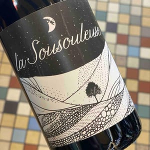 La Sousouleuse - No Control - vincent-marie