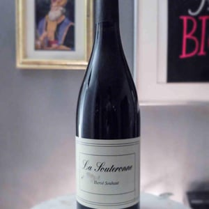 Romaneaux-Destezet - Hervé Souhaut - La Souterrone
