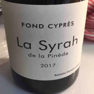 Fond Cyprès - Rodolphe Gianesini & Laetitia Ourliac - La Syrah de la Pinède