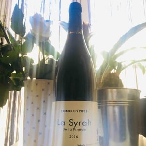 Fond Cyprès - Rodolphe Gianesini & Laetitia Ourliac - La Syrah de la Pinède