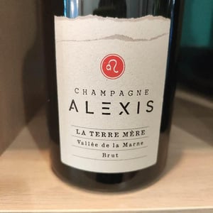La Terre Mere - Champagne Alexis - alexis-et-xavier-leconte