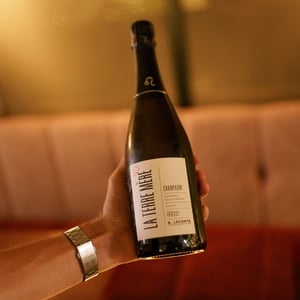 La Terre Mere - Champagne Alexis - Alexis et Xavier Leconte 