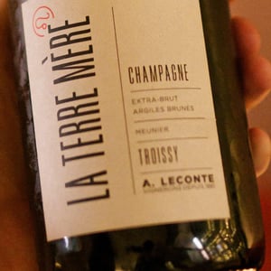 La Terre Mere - Champagne Alexis - alexis-et-xavier-leconte
