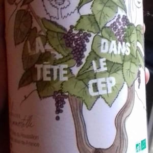 La Tête Dans Le Cep - Domaine De L'immortelle - delphine-yann-bouvier