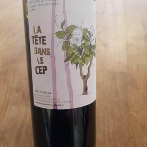 La Tête Dans Le Cep - Domaine De L'immortelle - delphine-yann-bouvier