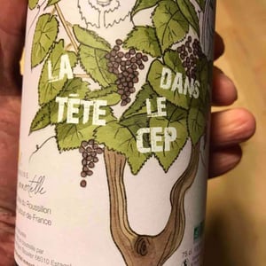 La Tête Dans Le Cep - Domaine De L'immortelle - Delphine & Yann Bouvier 